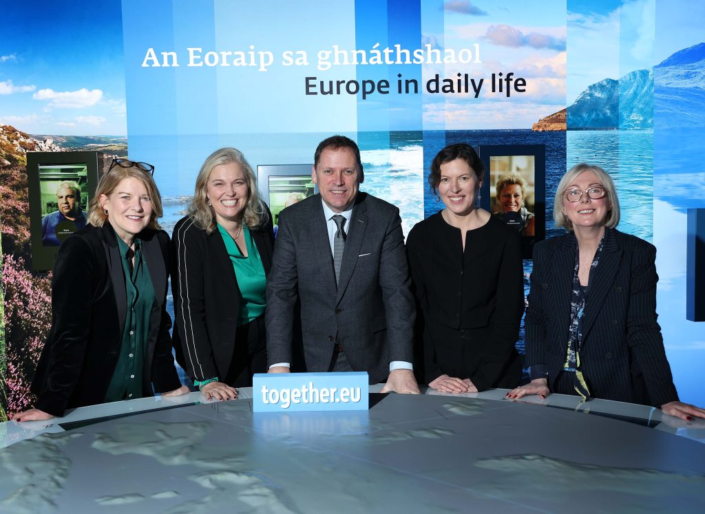 European Movement Ireland Where to Next 2